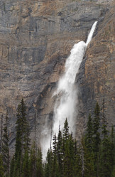 Similar image 8363529