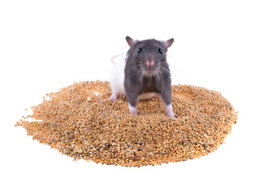 Similar image 8363532