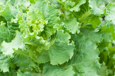 Similar image 8363535