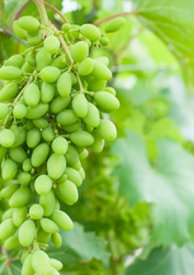 Similar image 8363544