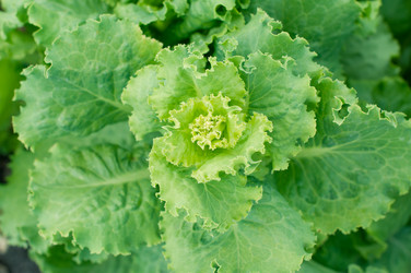 Similar image 8363545