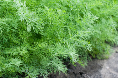 Similar image 8363546