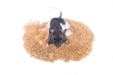 Similar image 8363577