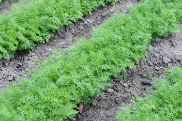 Similar image 8363579