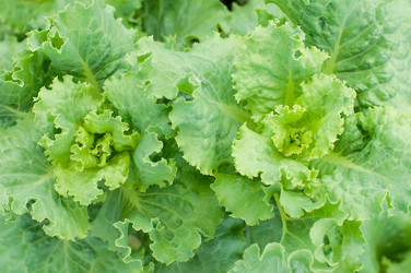 Similar image 8363584