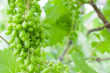 Similar image 8363585