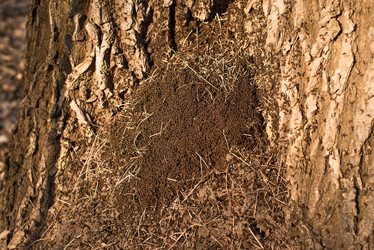 Similar image 8363590