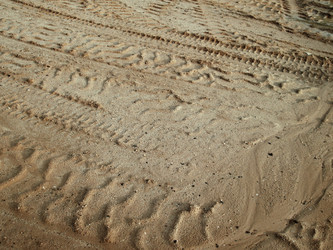 Similar image 8363599