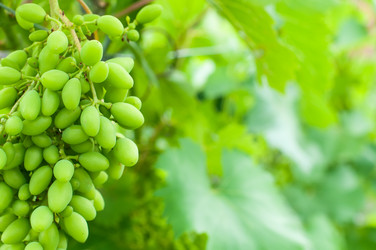 Similar image 8363612