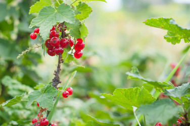 Similar image 8363621