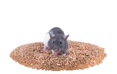 Similar image 8363632