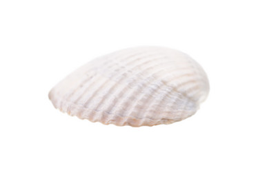 Similar image 8363634