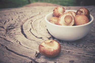 Similar image 8363666