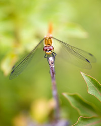 Similar image 8363680