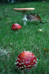 Similar image 8363682