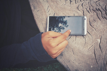 Similar image 8363696