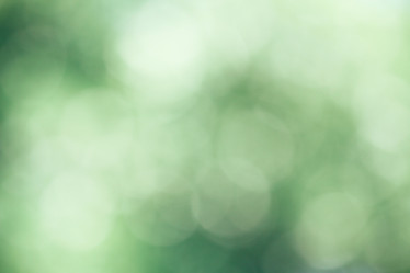 Similar image 8363700