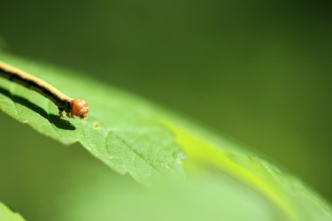 Similar image 8363711