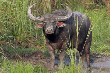 Similar image 8363714