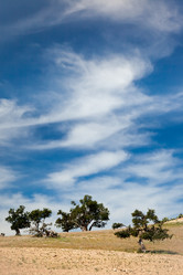 Similar image 8363717