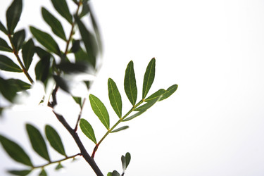 Similar image 8363726