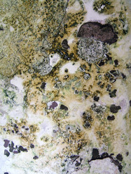 Similar image 8363727