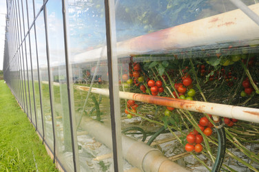 Similar image 8363730