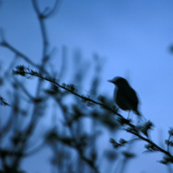 Similar image 8363732