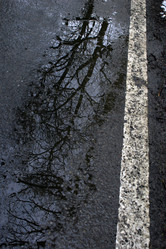 Similar image 8363736