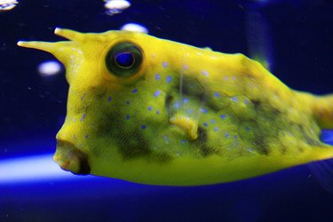 Similar image 8363737