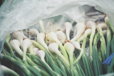 Similar image 8363807