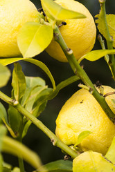 Similar image 8363816