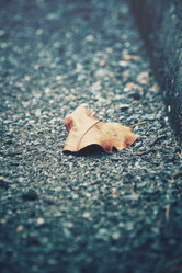 Similar image 8363824