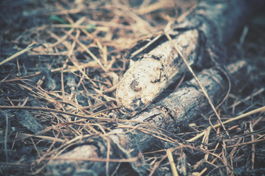 Similar image 8363826