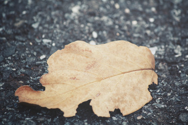 Similar image 8363869