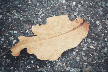 Similar image 8363871