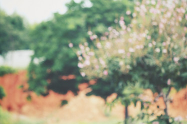 Similar image 8363873