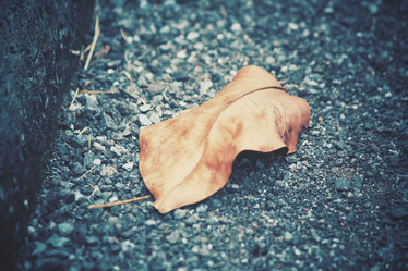 Similar image 8363883