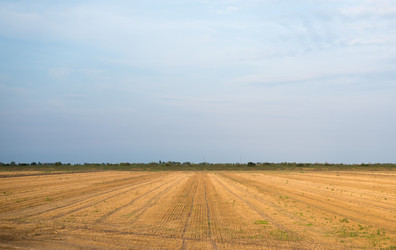 Similar image 8363904