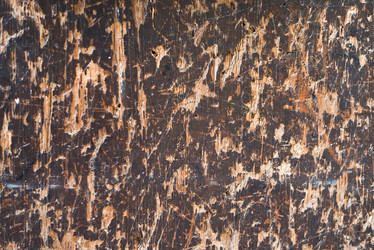 Similar image 8363915