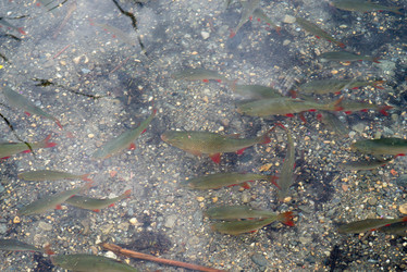 Similar image 8363916