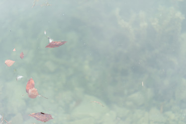 Similar image 8363917