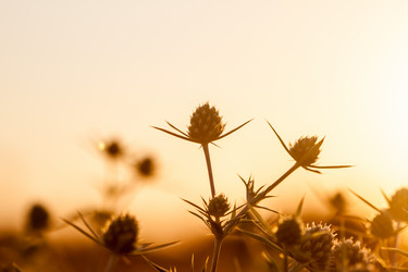 Similar image 8364049