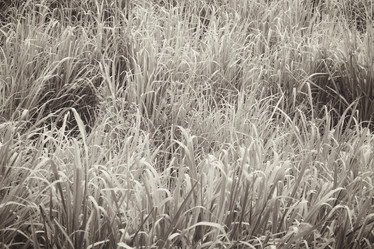 Similar image 8364090