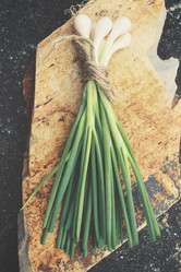 Similar image 8364100