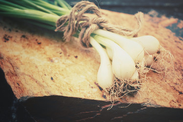 Similar image 8364101