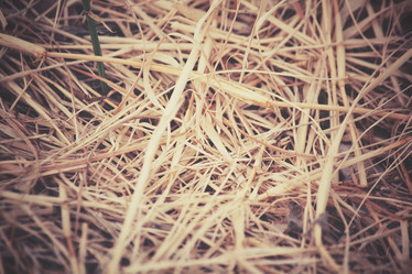 Similar image 8364105