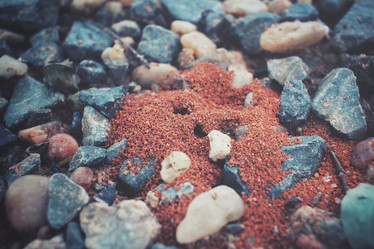 Similar image 8364108