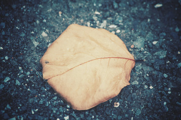 Similar image 8364115