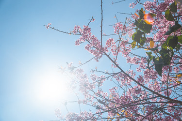 Similar image 8364659